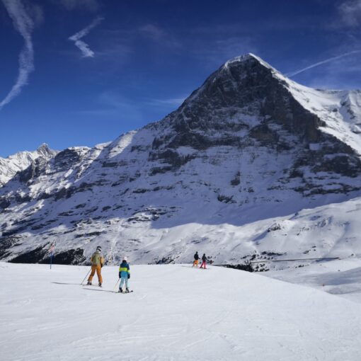 immobilien jungfrau region